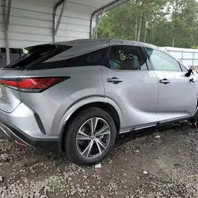 Diska teger pakirişka R19