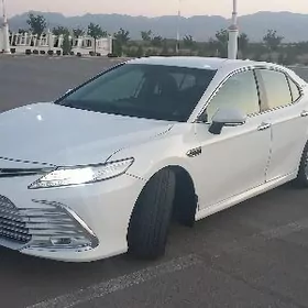 Toyota Camry 2019