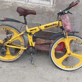 Tigir arkadag  ak goňur obasy