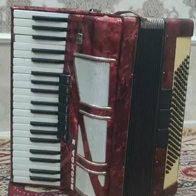 Akkordion Washod 3