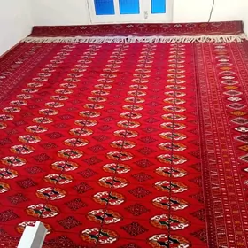 Элде докалан Бехерден халы