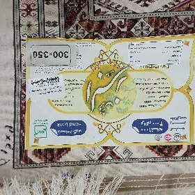 Eyran haly mun citim