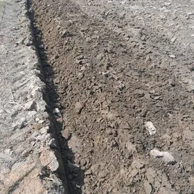 Agranomçylyk is gerek