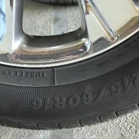 duty xle diska morda