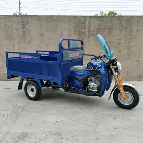 Fekon FK200-14G 2025