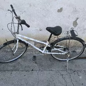 yaposga tigir 26 lyk