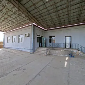 Wekil gyzyl oktyabr genesligi