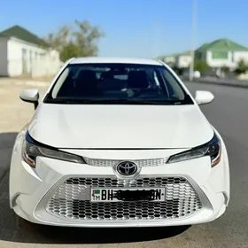 Toyota Corolla 2022