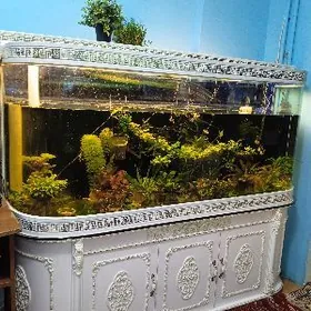 Аквариум Akvarium