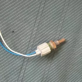 toyota pahmel datcik