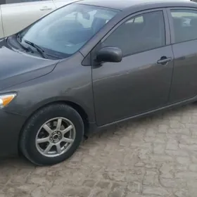 TOỲOTA KAROLLA 15 LIK ARGINAL