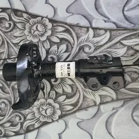 CAROLLA Zapcas 2022YYL