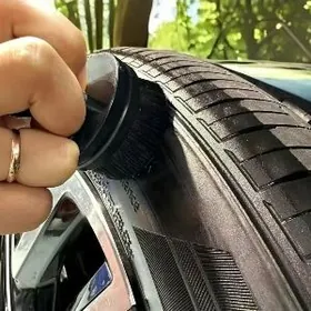 Teker garaldylyan sotka