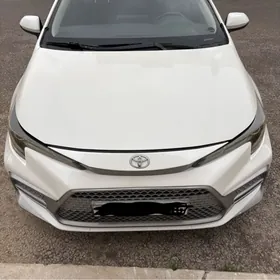 Toyota Corolla 2019