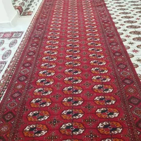 Дорошка Эл Халы