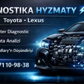 DIAGNOSTIK Выездная диагностик