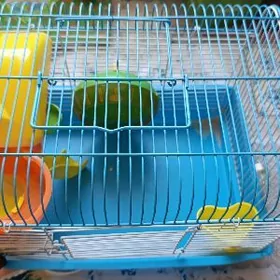 клетка для хомяка