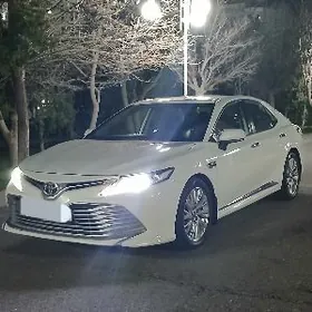Toyota Camry 2019