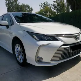 Toyota Corolla 2019
