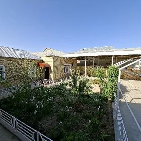 Muhat Obyezd Uly plan wremyank