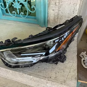 hilander far çep tarap