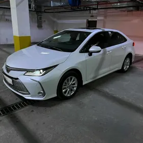 Toyota Corolla 2024