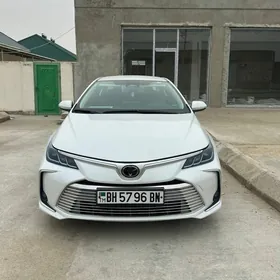 Toyota Corolla 2024