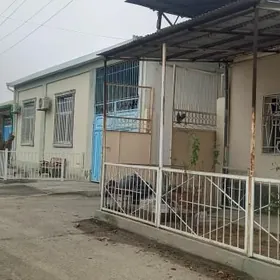 Hitrowka satlyk jaý