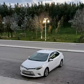 Toyota Corolla 2014