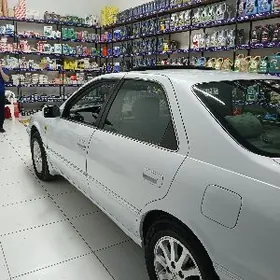 yag chalshyk zamena masla