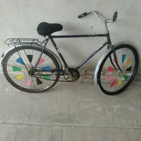 аисть велик