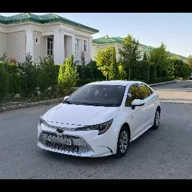 Toyota Corolla 2019