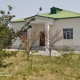 Taze Zaman ️ тазе заман