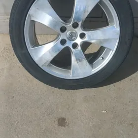 18 lik disga pokryşa