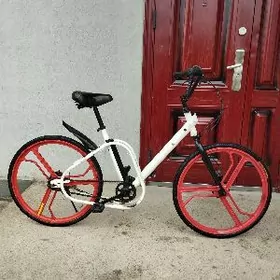 TIGIR 24LIK BEZKAMER