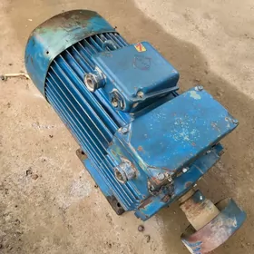 Dwigatel двигатель 38kw