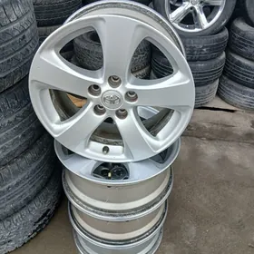 Siena Morda 17lik Disga