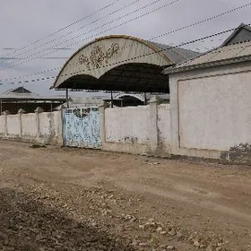 Satlyk howly gressanatorya yol