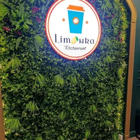 resdrana biginok gerek