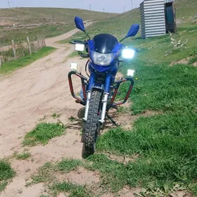 Fekon FK200-14G 2025