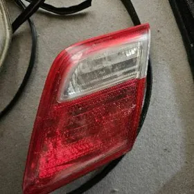 Öküz Kelle Bagaj Cyra