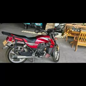 Fekon FK200-14G 2018