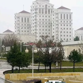 Nebitgaz elitka 4kom Vizor