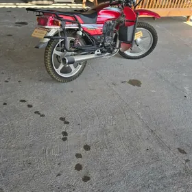 Fekon FK200-14G 2018