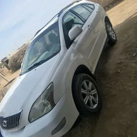 Lexus RX 330 2004