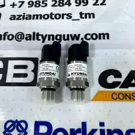 Gidrawliki nasosyň datçigy