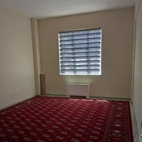 Anew Magtymguly elitga