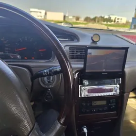 75 50 pioner exo gyzyl