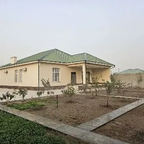 НОВЫЙ️МАХТУМКУЛИ