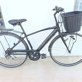 йапон велик 27